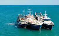 Kapal suplai untuk dijual