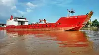 Kerajinan Pendaratan, Tank dijual