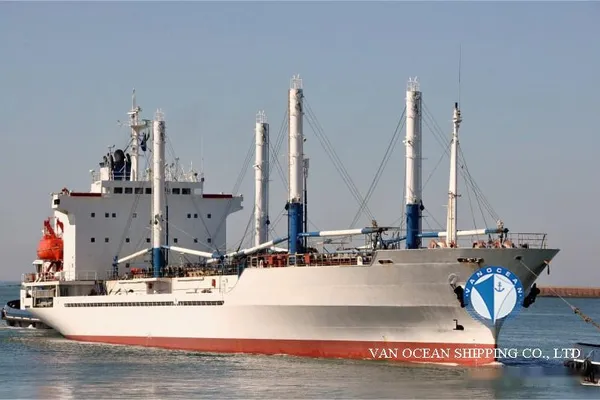 Reefer ship for sale