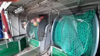 Kapal pengangkut ikan hidup untuk dijual