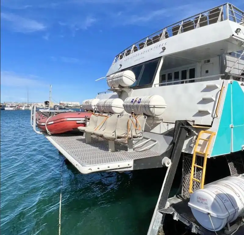 Kapal pesiar untuk dijual