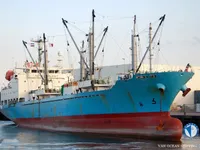Kapal pendingin untuk dijual