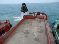 Tongkang untuk dijual
