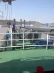 Kapal keruk untuk dijual