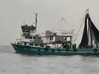 Kapal pukat cincin untuk dijual