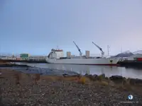Kapal pendingin untuk dijual