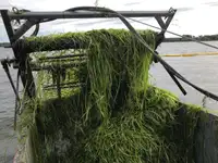 Kapal tanker air bilga untuk dijual