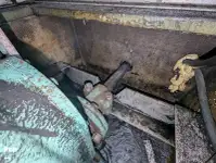Kapal pesiar-feri untuk dijual