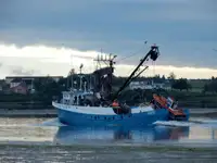 Kapal pukat cincin untuk dijual