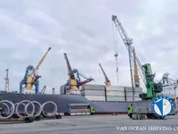 Kapal pendingin untuk dijual