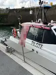 Kapal pandu untuk dijual