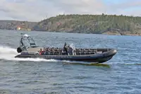 Perahu karet kaku untuk dijual