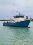 Kapal pukat untuk dijual