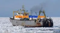 Kapal pendingin untuk dijual