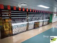 Kapal Ro-Ro untuk dijual
