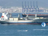 Kapal pendingin untuk dijual