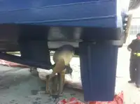 Kapal kru untuk dijual