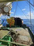 Kapal pukat cincin untuk dijual
