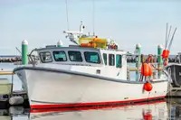 Kapal pukat cincin untuk dijual