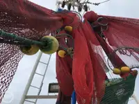 Kapal pukat untuk dijual