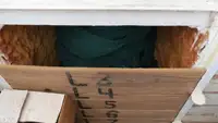 Kapal pukat untuk dijual