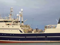 Kapal pukat untuk dijual
