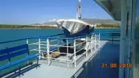 Ro-Ro ship dijual