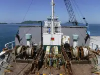 Kapal pengangkut barang curah untuk dijual