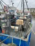 Pembawa ikan hidup dijual