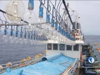 Kapal penangkap cumi-cumi untuk dijual