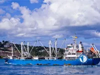 Kapal pendingin untuk dijual