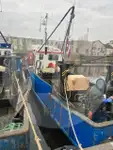 Pembawa ikan hidup dijual
