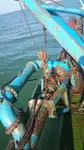 Kapal keruk untuk dijual