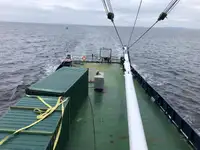 Kapal pendingin untuk dijual