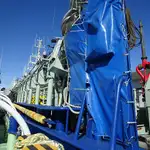 Purse seiner dijual