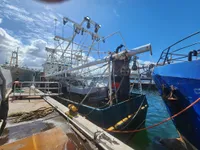 Kapal pukat untuk dijual