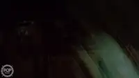 Kapal pukat untuk dijual