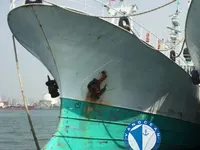 Kapal pukat panjang untuk dijual