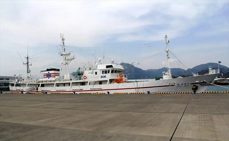 Kapal survei untuk dijual