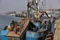 Kapal pukat cincin untuk dijual