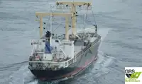 Kapal pengangkut barang curah untuk dijual