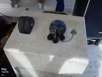 Kapal pukat untuk dijual