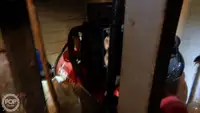 Kapal pukat untuk dijual