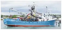 Kapal pukat cincin untuk dijual