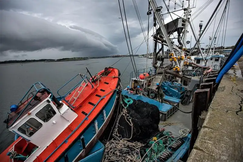 Kapal pukat cincin untuk dijual