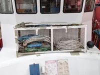 Kapal survei untuk dijual