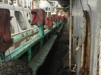 Kapal penangkap cumi-cumi untuk dijual