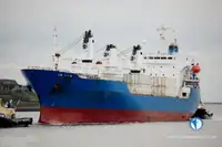 Kapal pendingin untuk dijual