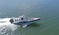 Perahu karet kaku untuk dijual