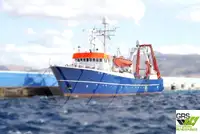 Kapal survei untuk dijual